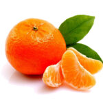 میوه نارنگی مرکبات
