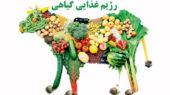 رژیم غذایی گیاهی و کاهش ریسک سرطان روده بزرگ 1 رژیم غذایی گیاهی