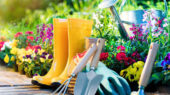 باغبانی و سلامت روان و کاهش سرطان