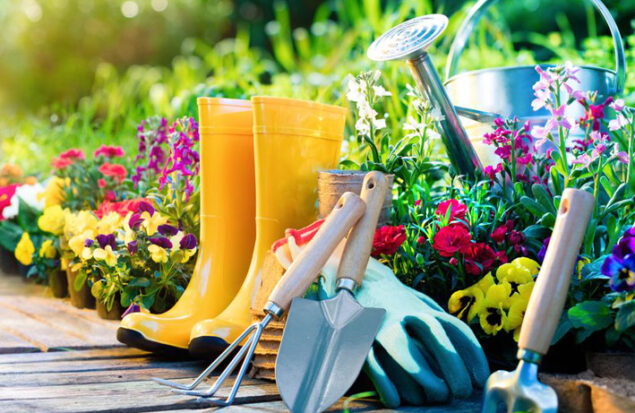باغبانی و سلامت روان و کاهش سرطان
