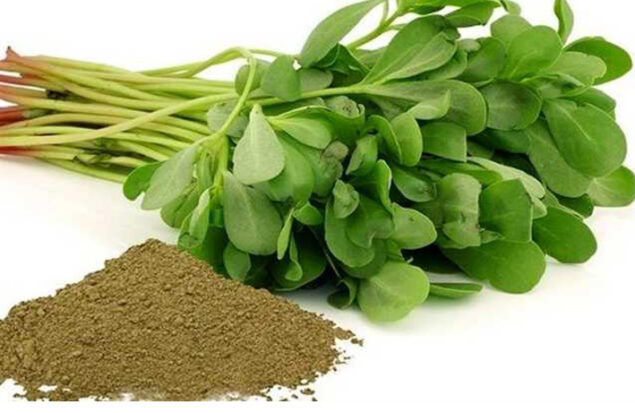 فواید و خواص سبزی خرفه