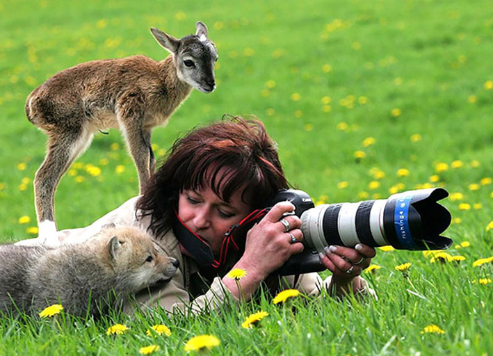عکاسی حیوانات