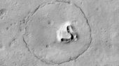 چهره خرس در مریخ
