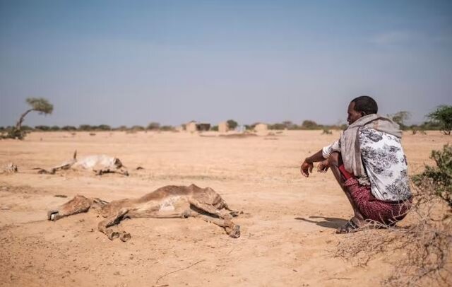خشکسالی آفریقا