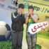 شرط بندی دربی و فوتبال