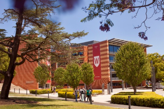دانشگاه غربی سیدنی