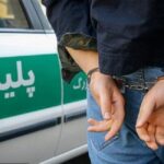 دستگیری و بازداشت