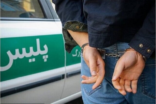 دستگیری و بازداشت