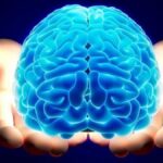سلامتی مغز و تقویت حافظه