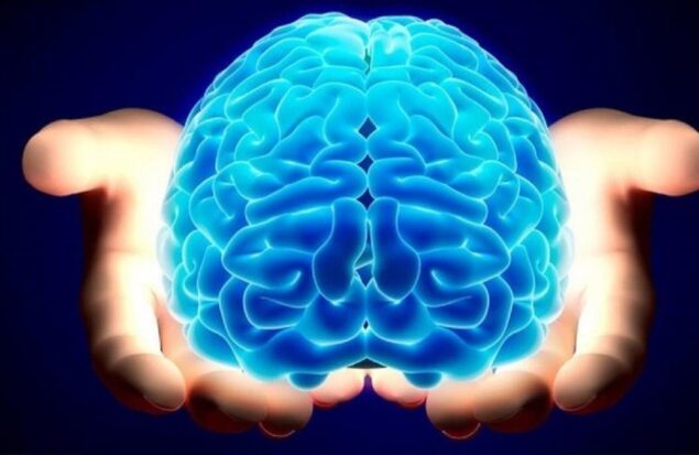 سلامتی مغز و تقویت حافظه