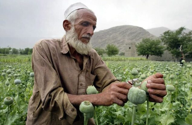 تولید مواد مخدر در افغانستان