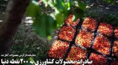 صفحه اول روزنامه های اقتصادی امروز