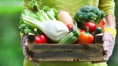 مصرف سبزیجات و سلامتی در زمستان