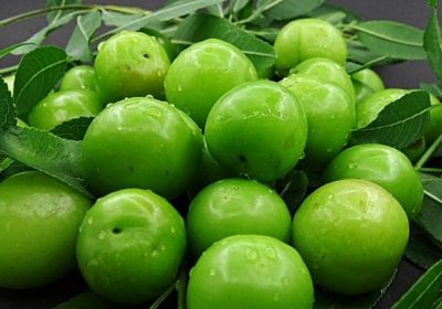 خواص گوجه سبز؛ از پاکسازی کبد تا تقویت سلامت قلب 1 خواص آلوچه
