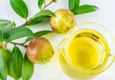 ۵ فایده شگفتانگیز روغن کاملیا برای سلامت موها 1 روغن کاملیا برای سلامت موها