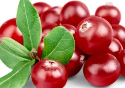 فواید مصرف کرن‌بری